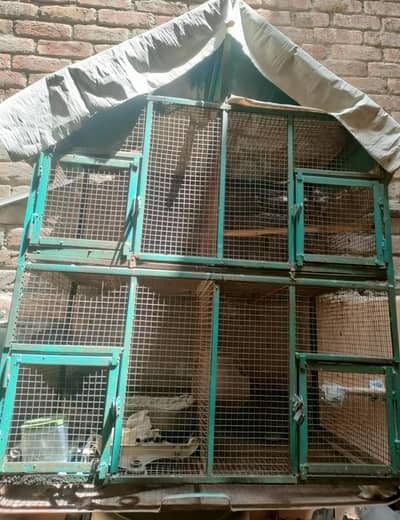 pure lohay ka cage 6/4 size 4 separate portion