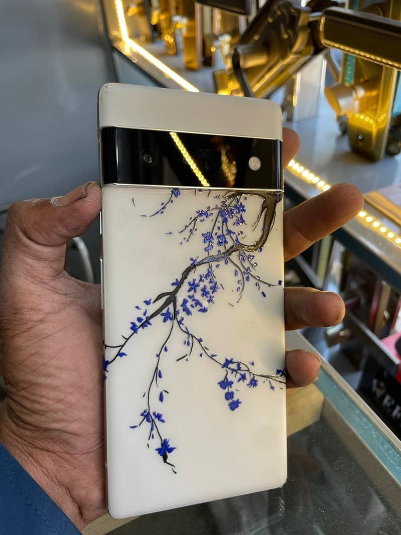 Google pixel 6pro 1