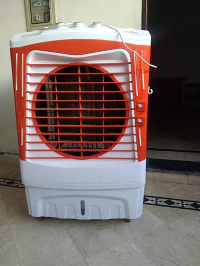 bus 1 sal Chala hua hai