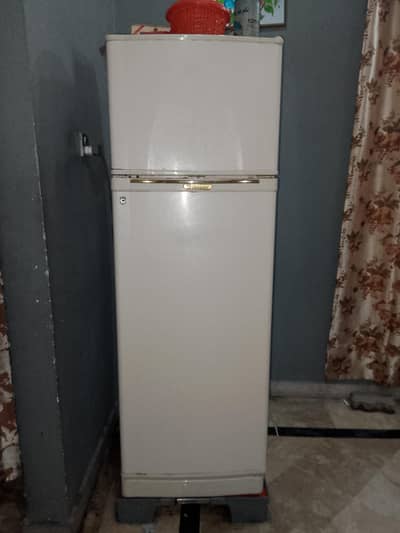 fridge Dawlance