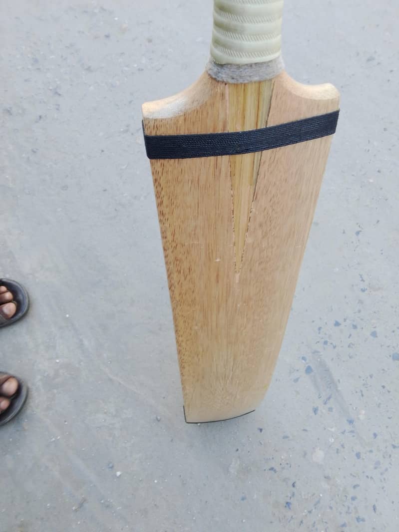 Cricket 3