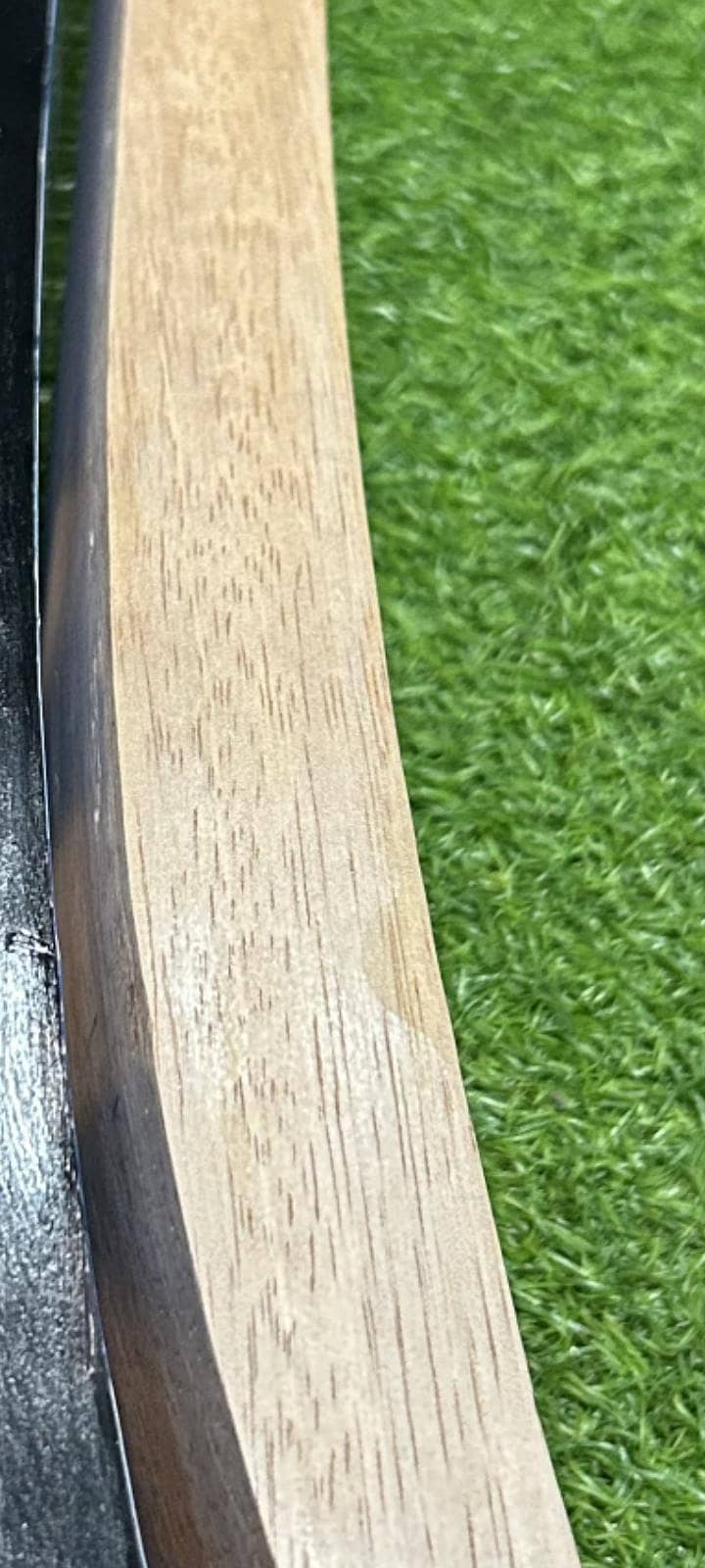 Cricket 6
