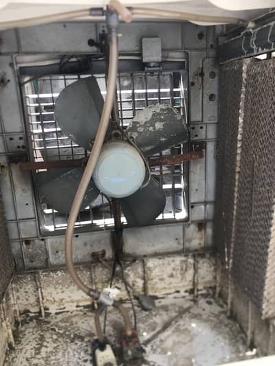 Air cooler
