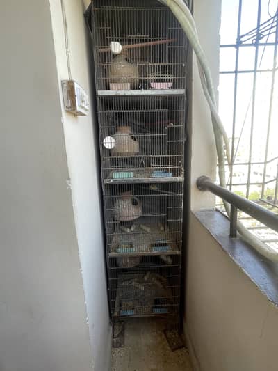 Full 4 portion pinjra slightly used only with pairs in each