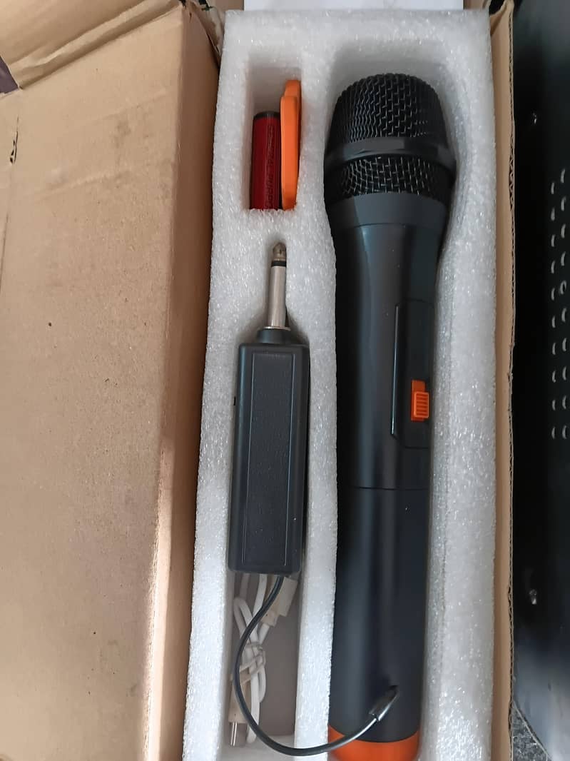 echo sound system 3