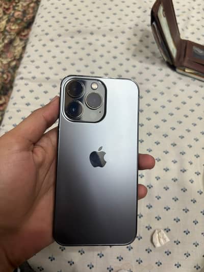 13 Pro 256 GB FU