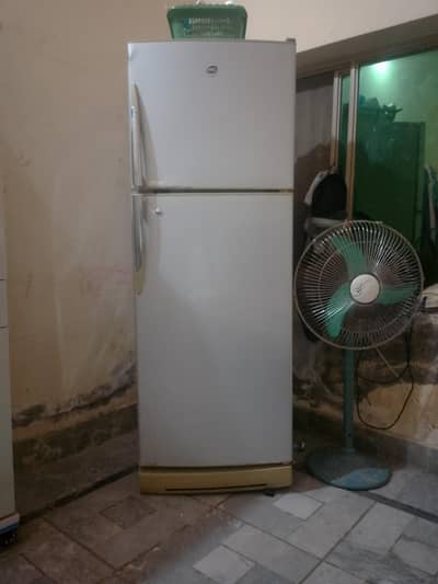 pel fridge for sale