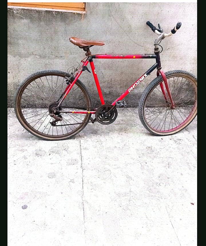 phoenix cycle 0