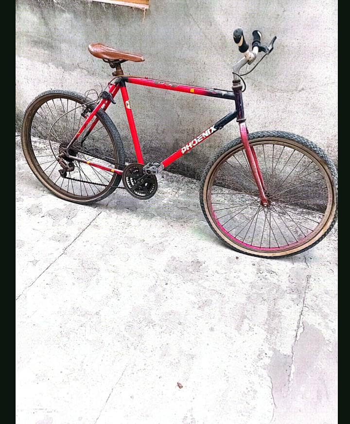 phoenix cycle 1