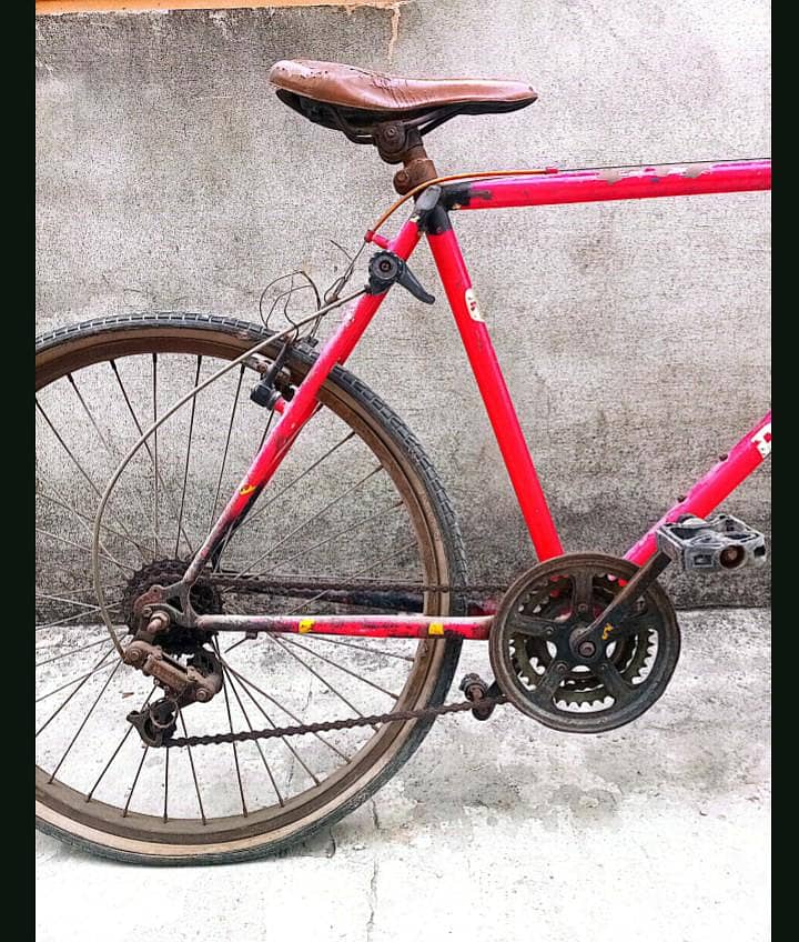 phoenix cycle 2
