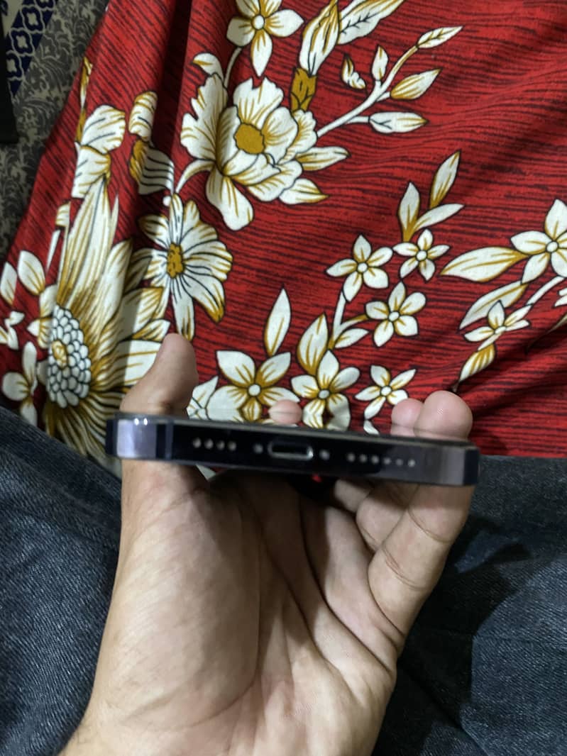 14 pro max 2