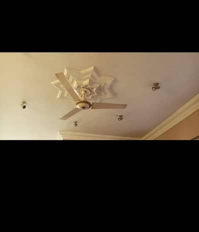 Copper Fans