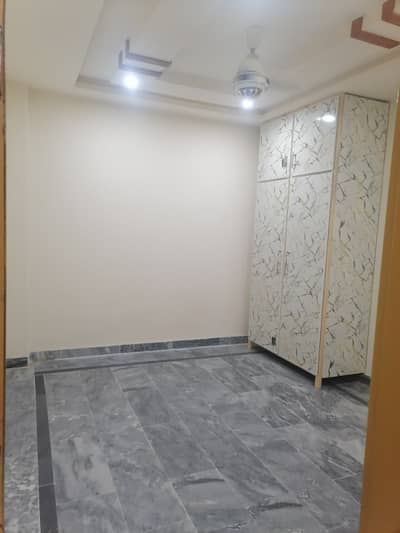 4 marla single story house for rent