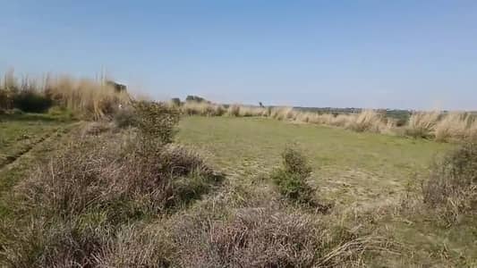 chakwal jhelum road sy 6 km link road  320 kanal agriculture land for sale