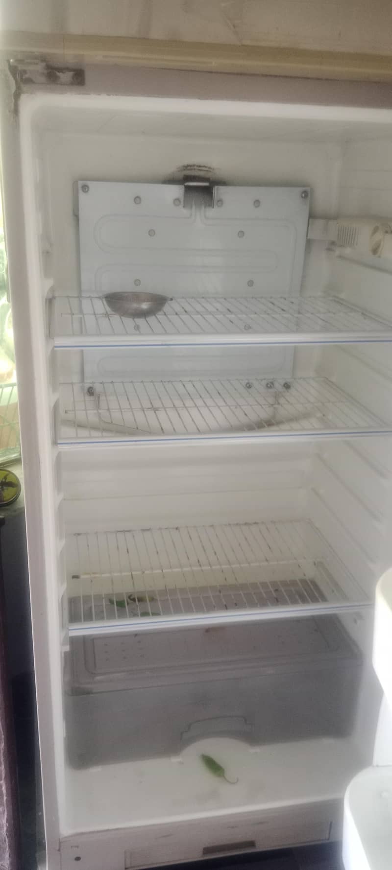 Refrigrator 5
