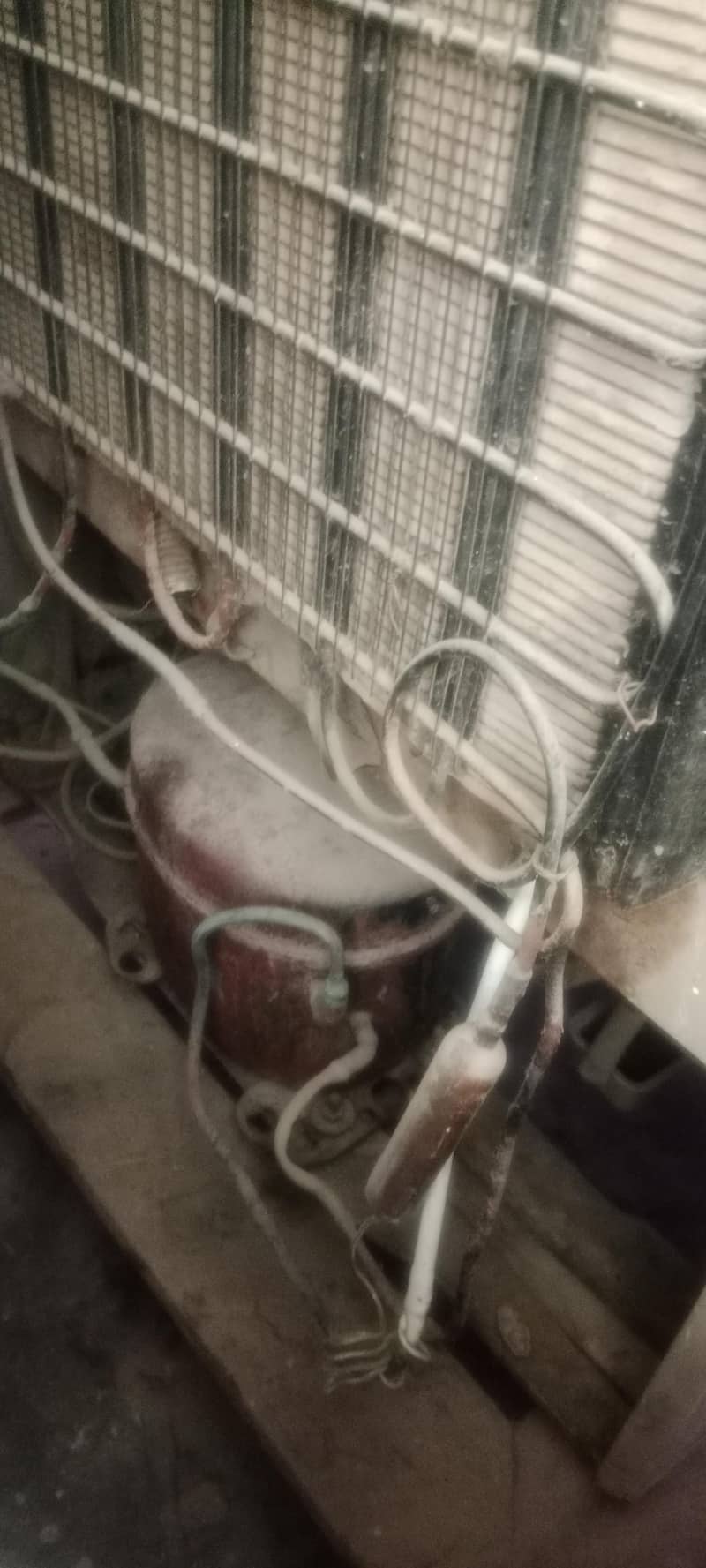 Refrigrator 6
