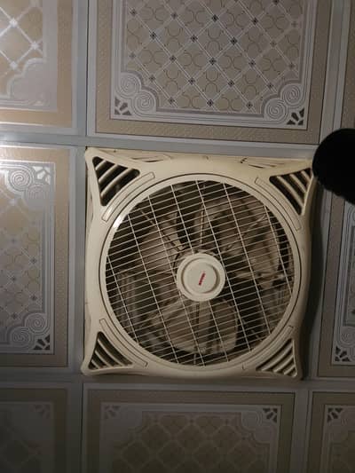 royal fan