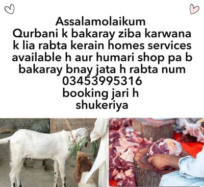 Qasai available in bharia town and nearside areas Islamabad