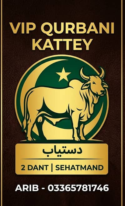 "VIP Qurbani Kattey Available - Cheap Rates and Bulk Deals"