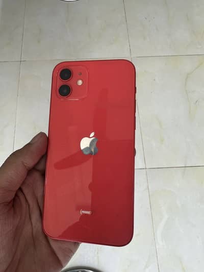 iPhone 12