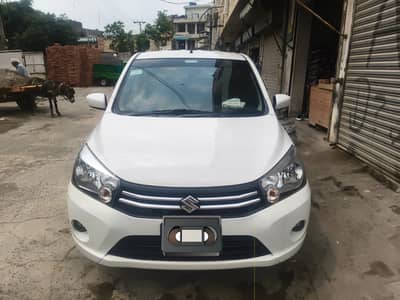 Suzuki cultus