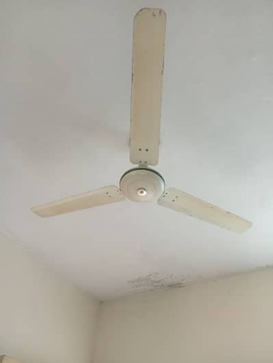 Royal Fan 75 watt ceiling Fan