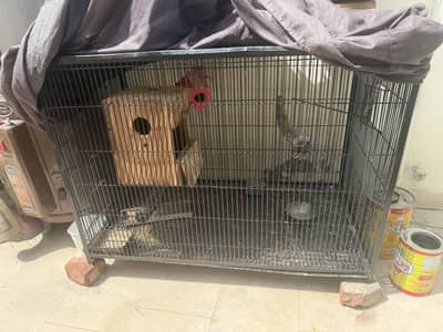 Cage for sale