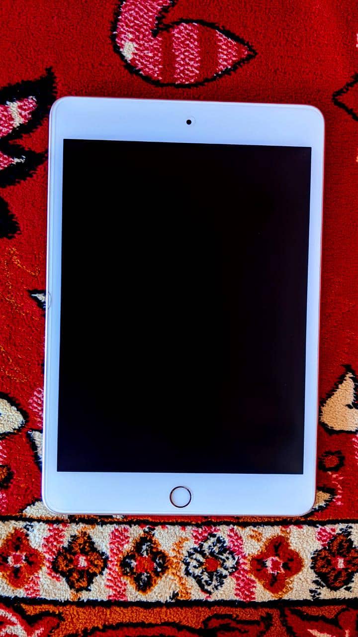 iPad Mini 5 1