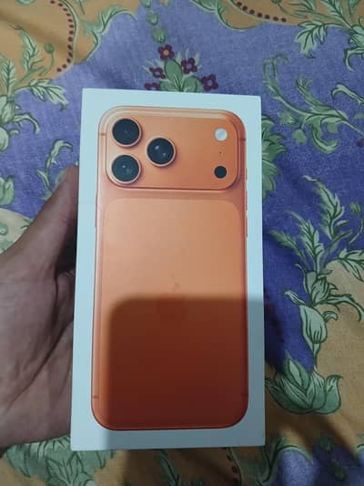 17 pro max 256GB