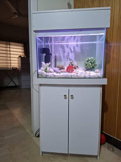 fish equrium