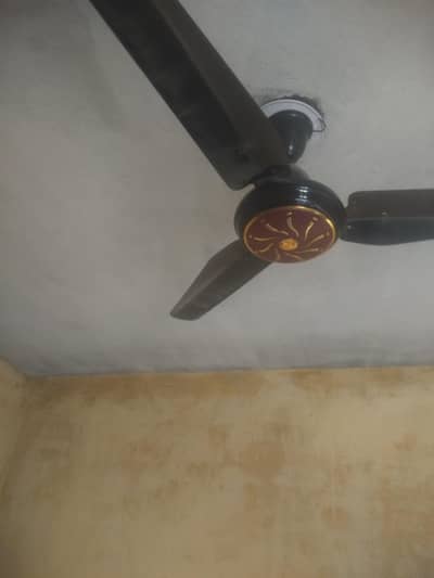 morphy fan rtm. 113007 new ac dc