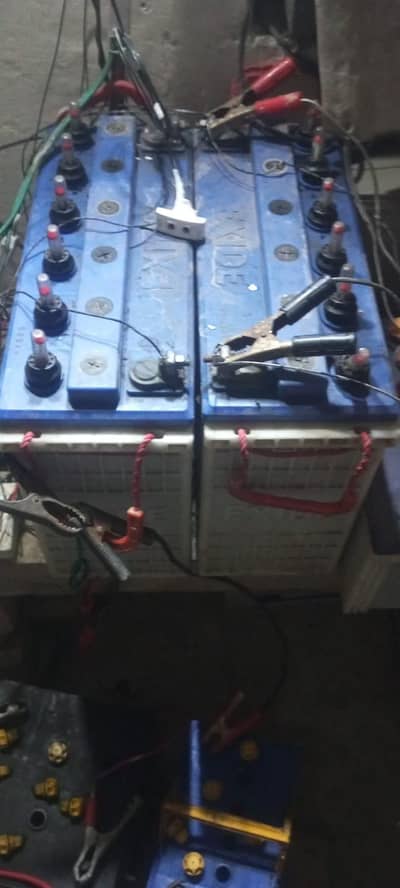 argnat for sale