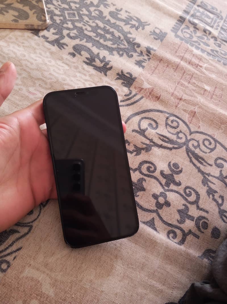 iPhone 12 0