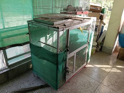 hen 3  cage available