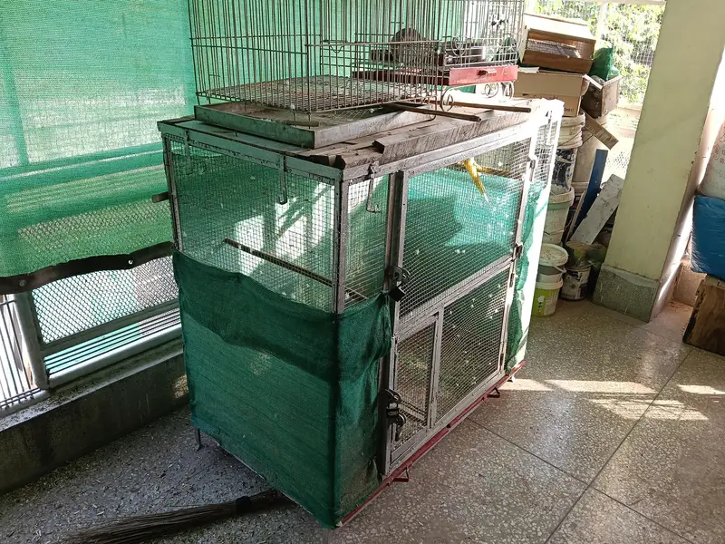 hen 3  cage available