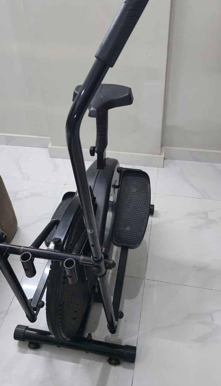 elliptical cycle 0