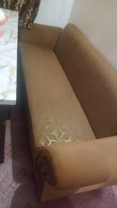 SOFA CUM BED MOLTY FOAM