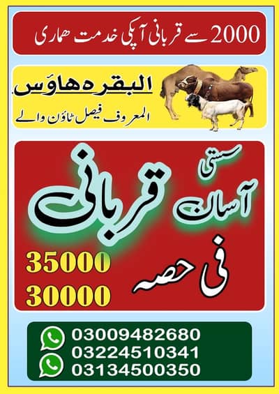 Ijtamai Qurbani (Hissa in Bachra, Onth and Bakra  ) Asan Qurbani