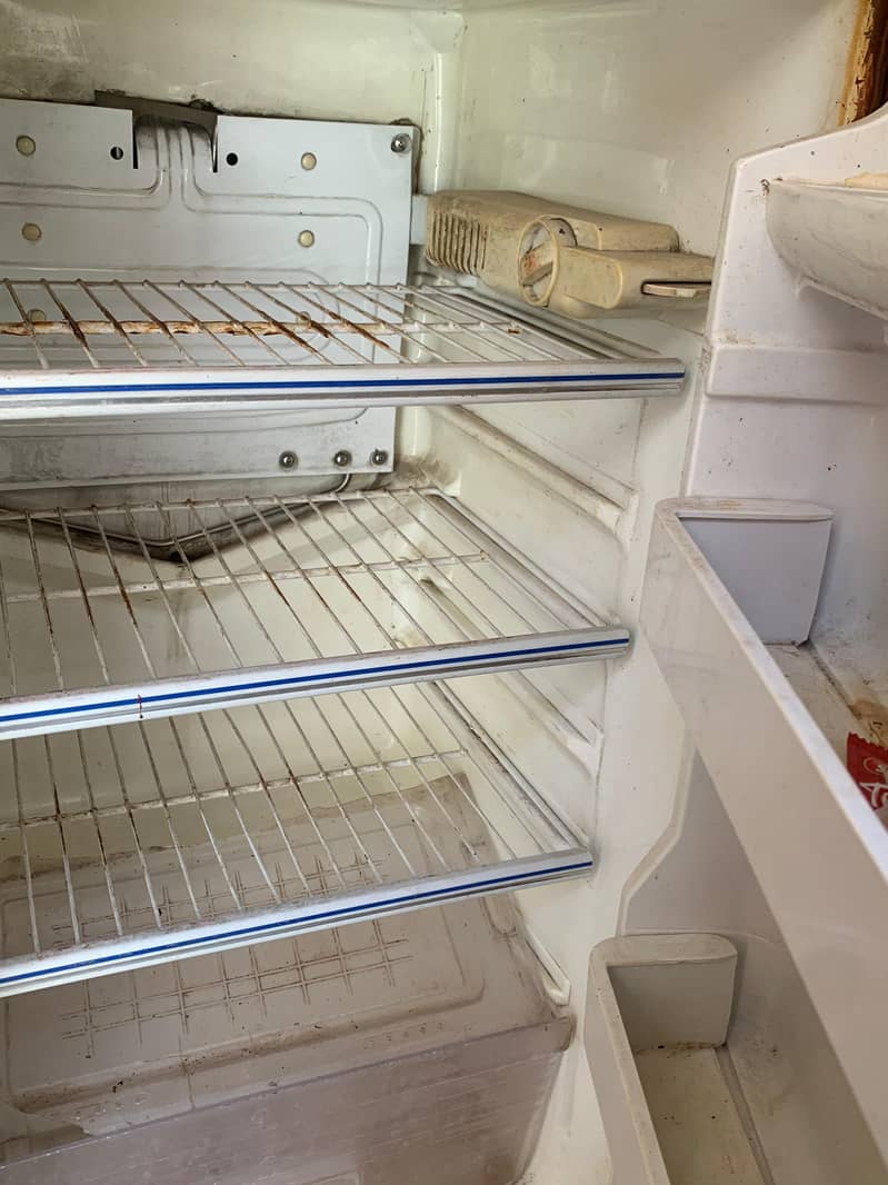 Freezer 3