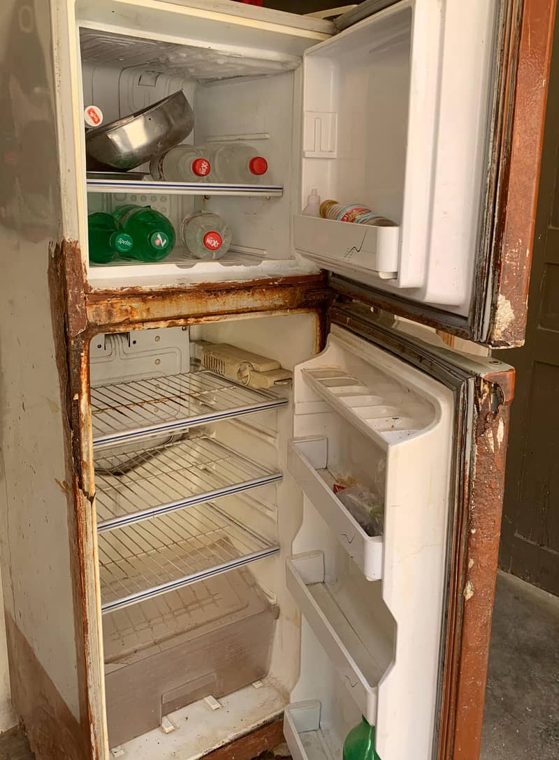 Freezer 4