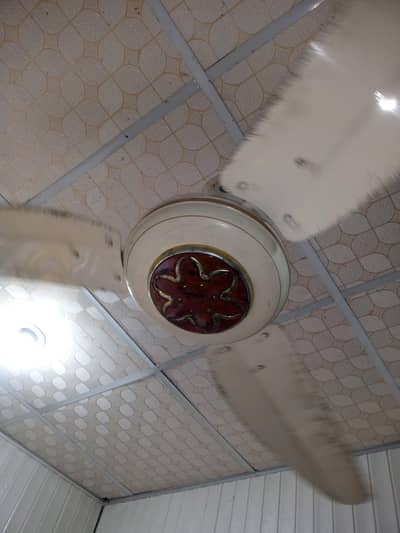 ceiling fans