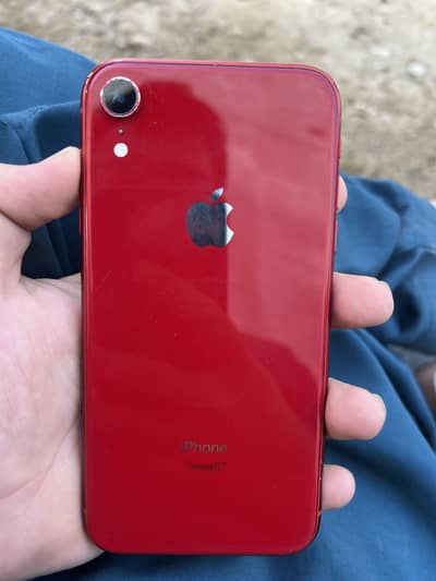 iPhone XR