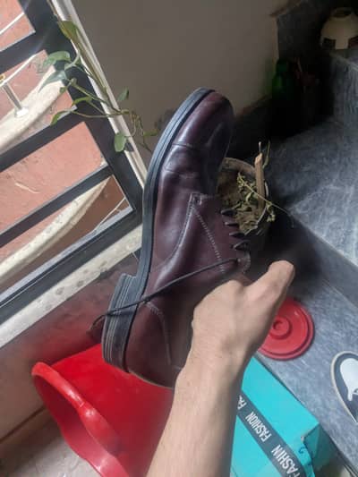 Dress shoes mahroon color
