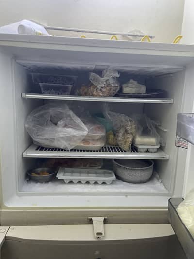 Fridge