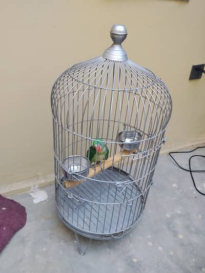 Cage for sell