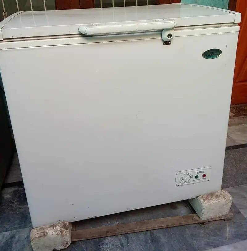 Intercool Deep Freezer Single Door 3
