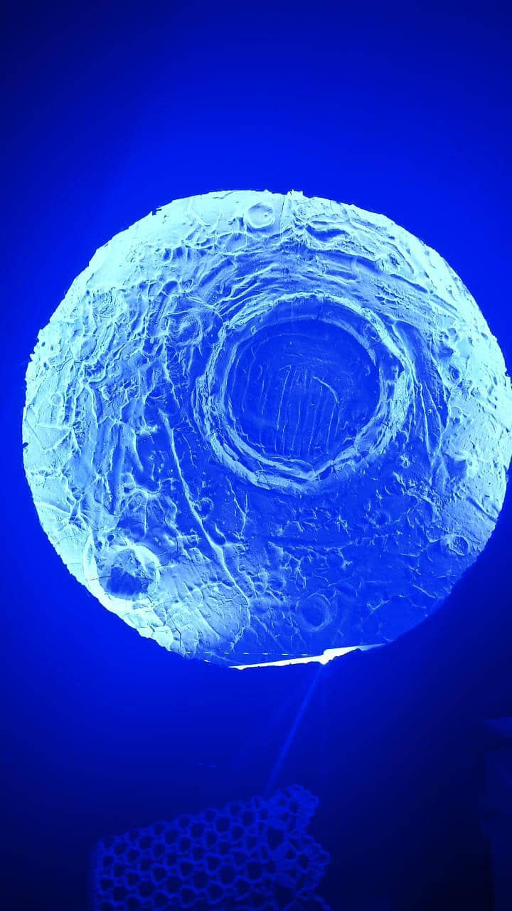 moon light 0