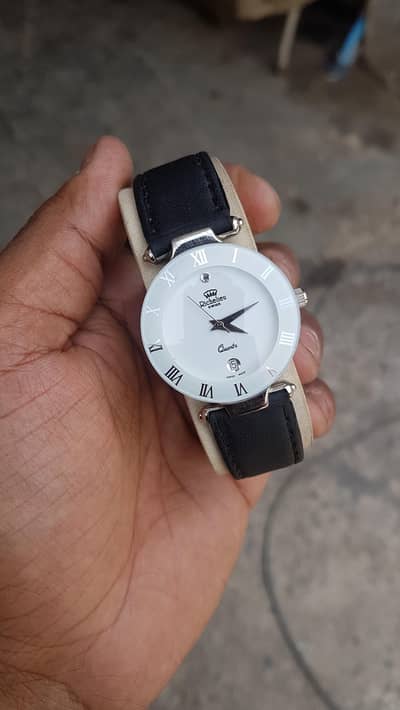Richileue Swiss Quartz sapphire Men's Watch