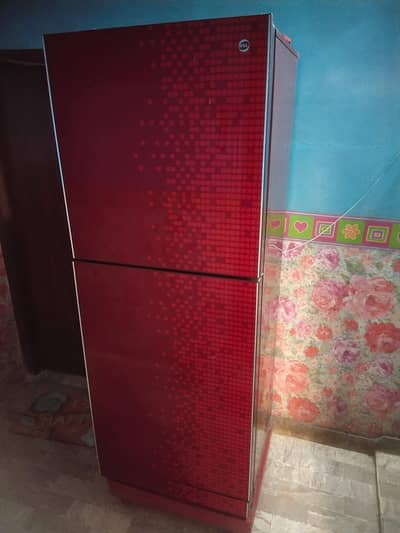 Big size fridge