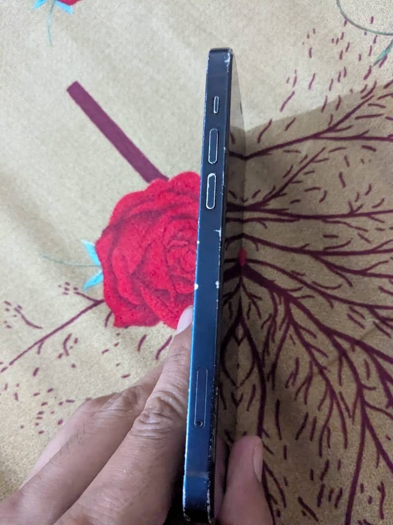iPhone 12 0